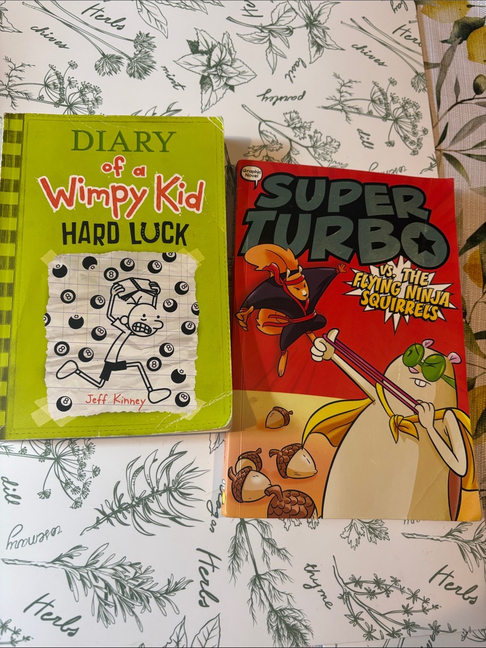 Diary of a Wimpy Kid: Hard Luck & Super Turbo vs. The Flying Ninja Book Bundle